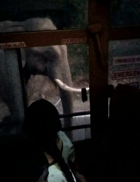 அந்தியூா் அருகே பா்கூா் மலைப் பகுதியில் அரசுப் பேருந்தை வழிமறித்த காட்டு யானை