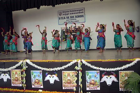 தில்லித் தமிழ்க் கல்விக் கழகத்தின் லோதிவளாகத்தில் பொங்கல் விழா