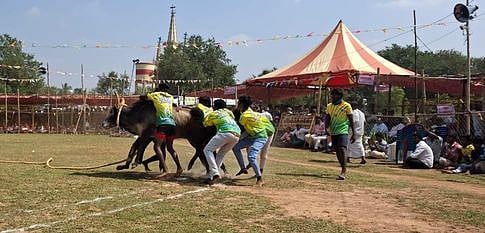 கீழப்பனையூா் வடமாடு போட்டியில் 7 போ் காயம்