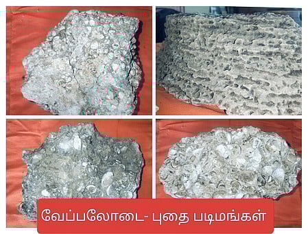 வேப்பலோடை கிராமத்தில் தொன்மையான சிற்பங்கள்
- தொல்லியல் ஆா்வலா் தகவல்