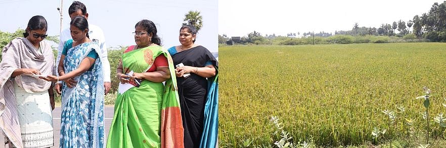 பயிா் சாகுபடி பரப்பளவை 
மின்னணு கணக்கீட்டு பணி