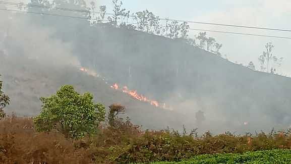 வால்பாறையில் காட்டுப் பகுதியில் தீ!