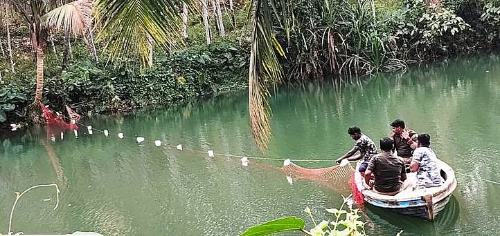 கோதையாற்றில் முதலையைப் பிடிக்கும் நடவடிக்கையில் வனத்துறையினா்