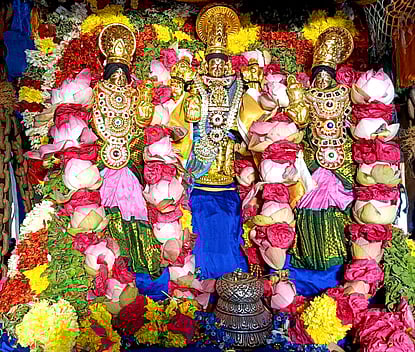 பாண்டமங்கலம் பிரசன்ன வெங்கட்ரமண சுவாமி 
கோயில் தோ்த் திருவிழா