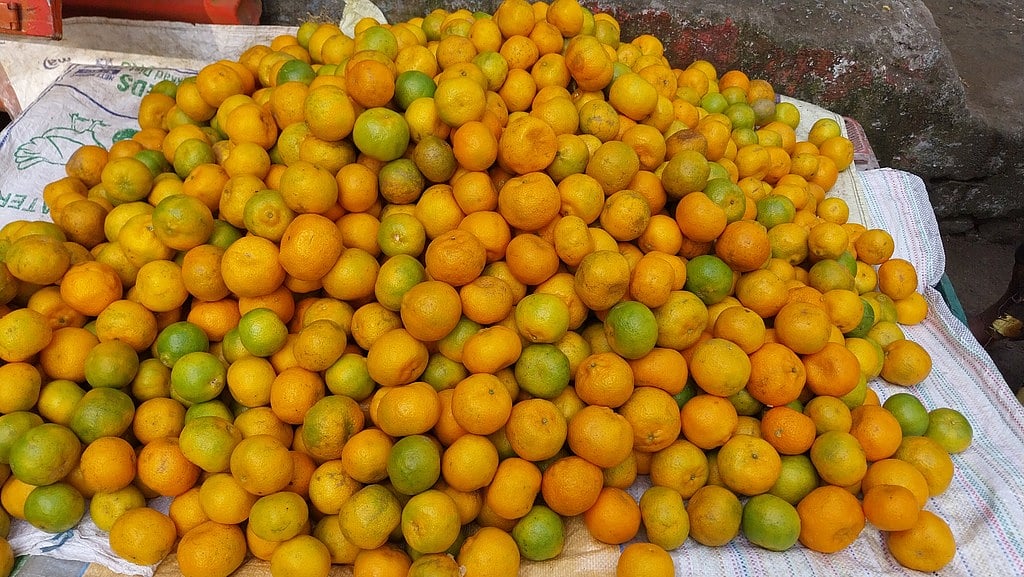 பருவ நிலை மாற்றம்: கொடைக்கானலில் ஆரஞ்சு விளைச்சல் சரிவு!