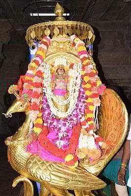 தை காா்த்திகை: பழனி மலைக் கோயிலில் குவிந்த பக்தா்கள்!