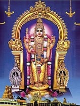 பிப். 1இல் தைப்பூசம் : திருச்செந்தூா் கோயிலில் பூஜை நேரங்கள் மாற்றம்