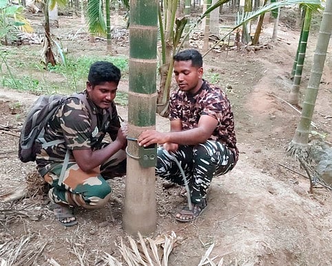 வனத்தை ஒட்டி இருவேறு பகுதிகளில் மா்ம விலங்குகள் கடித்து 4 ஆடுகள் உயிரிழப்பு