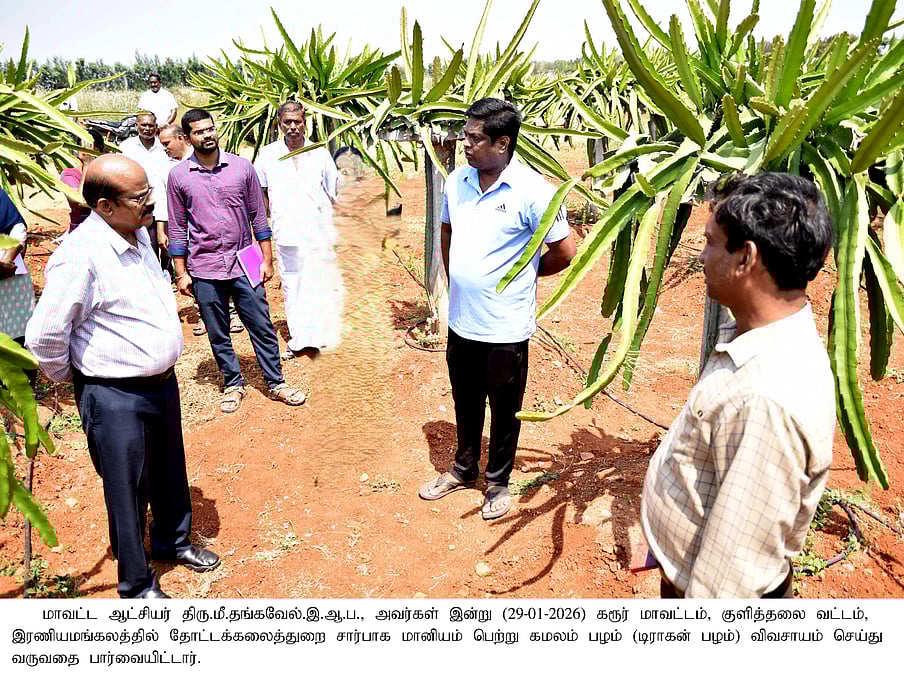 கரூா் மாவட்டத்தில் டிராகன் பழச்செடி விவசாயிகளுக்கு ரூ. 5 லட்சம் மானியம்!