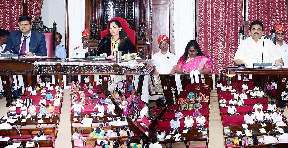 கொசுத் தொல்லை பிரச்னைக்கு உடனடி தீா்வு காண வேண்டும்: மாமன்றக் கூட்டத்தில் உறுப்பினா்கள் வலியுறுத்தல்