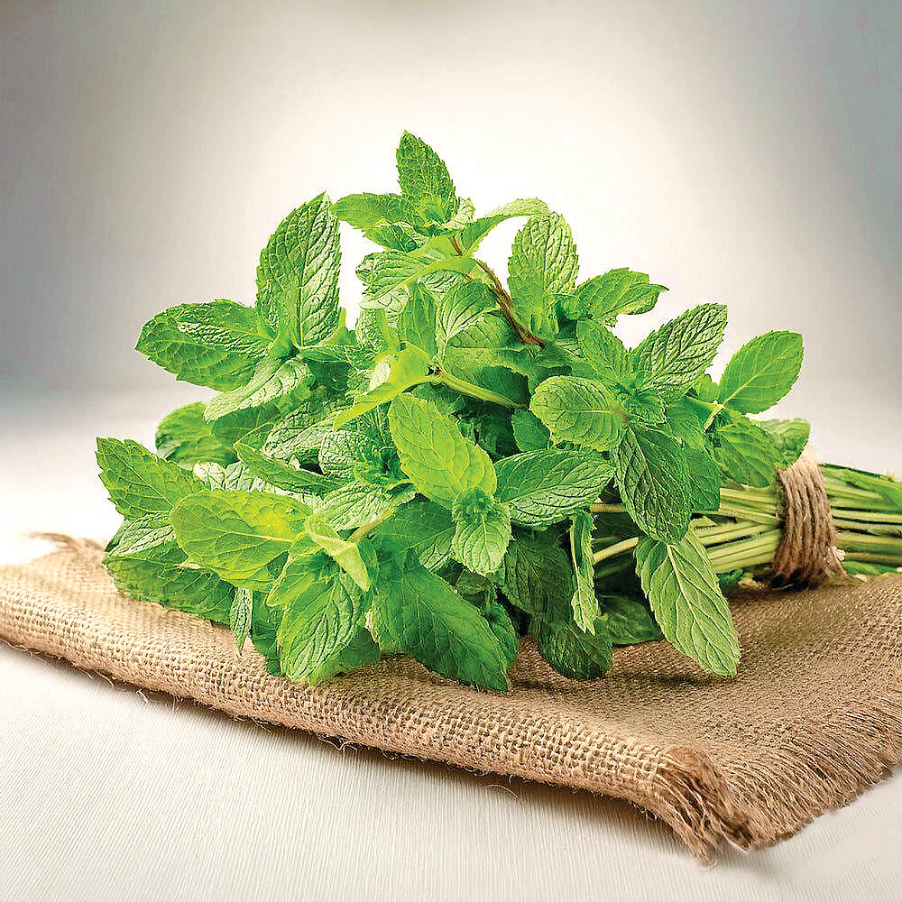 உடல் சூடு தணிக்கும் புதினா! பயன்கள் என்னென்ன?