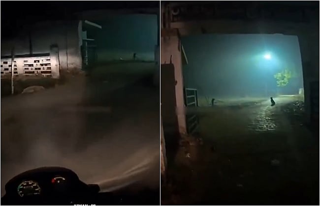 இரவில் கல்லறைக்கு பிரியாணி ஆர்டர் செய்த பெண்! டெலிவரி செய்ய மறுப்பு!