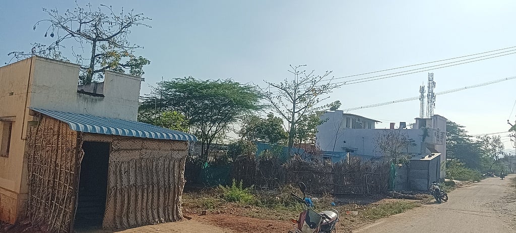 தாமரைக்குளத்தில் ஆக்கிரமிப்புகளை
அகற்றக் கோரிக்கை