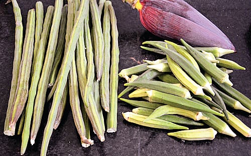 பிஞ்சுக் காய்கள்