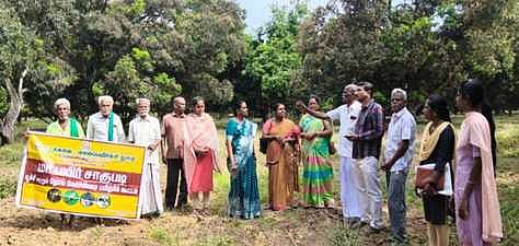 மாமரங்களில் நோய் தாக்குதல் 
வேளாண் அதிகாரிகள் ஆலோசனை