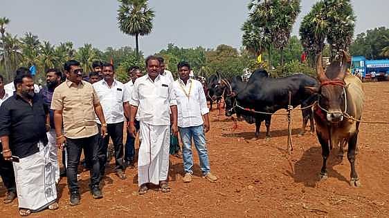 கொங்கணாபுரம் அருகே கால்நடை திருவிழா: காளைகள், சேவல்கள் பங்கேற்பு