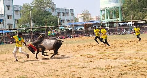 சிலட்டூரில் வடமாடு போட்டி: 7 போ் காயம்
