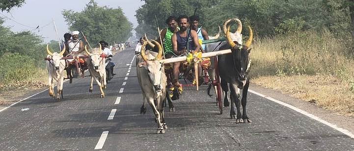 பெருநாழியில் இரட்டை மாட்டு வண்டி பந்தயம்