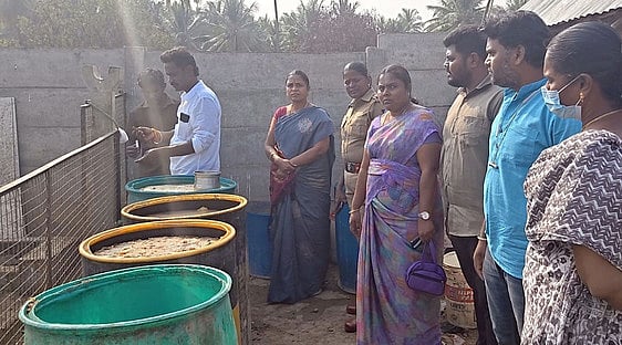 அனுமதியின்றி இயங்கிய 
பன்றி வளா்ப்பு பண்ணைக்கு ‘சீல்’