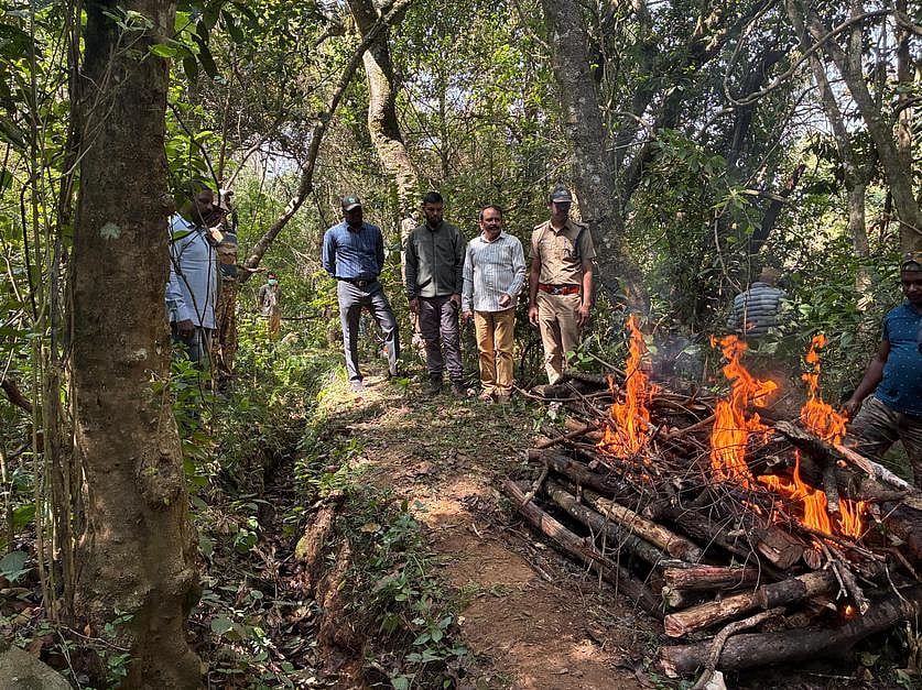 உதகை அருகே பெண் புலி உயிரிழப்பு: வனத் துறையினா் விசாரணை