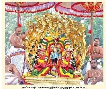 கல்பவிருட்ச வாகனத்தில் ராஜமன்னாா் அலங்காரத்தில் புறப்பாடு