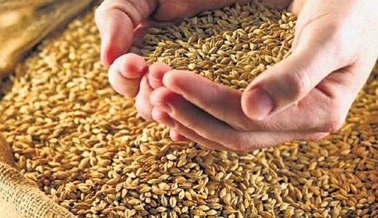 25 லட்சம் டன் கோதுமை ஏற்றுமதிக்கு மத்திய அரசு அனுமதி