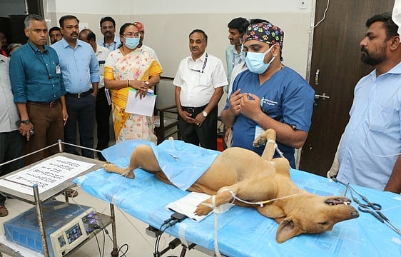 சமுதாய நாய்களுக்கான கருத்தடை அறுவை சிகிச்சை மையம் திறப்பு