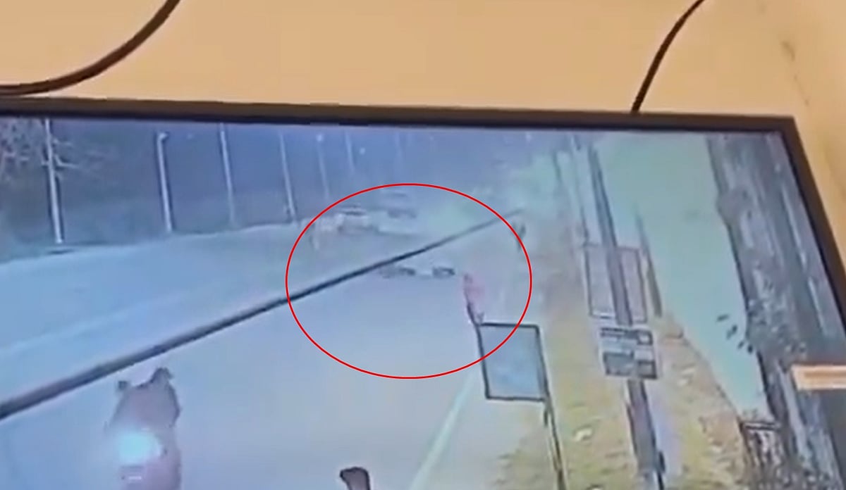 காளை தாக்கியதில் நொய்டா
தொழில்நுட்ப வல்லுநா் காயம்!