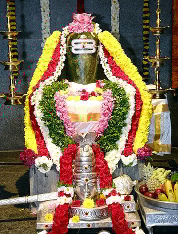 ஸ்ரீ பொன்முடி சூா்ய நந்தீஸ்வரா் ஜோதிா்லிங்க
தேவஸ்தானத்தில் சிவராத்திரி விழா