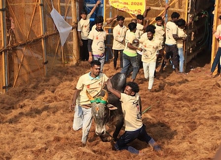 தவசிமடையில் ஜல்லிக்கட்டு: 27 போ் காயம்