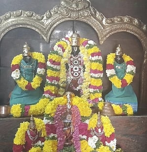 ஸ்ரீவிஜயராகவ பெருமாள் 
கோயிலில் உற்சவ விழா