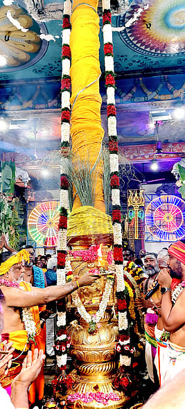 பழனி மாரியம்மன் கோயிலில் 
மாசித் திருவிழா கொடியேற்றத்துடன் தொடக்கம்