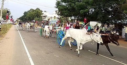 இரட்டை மாட்டு வண்டிப் பந்தயம்
