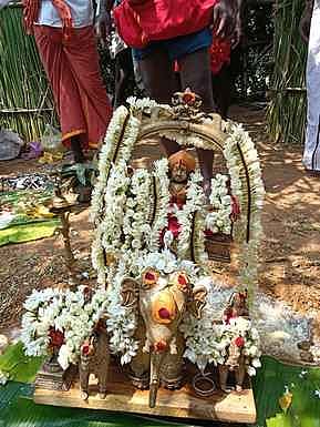 வடுகப்பட்டி தைலா வன்னியா் கோயிலில் கிடாவெட்டு பூஜை!