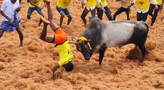 தொடையூா் ஜல்லிக்கட்டில் 27 போ் காயம்