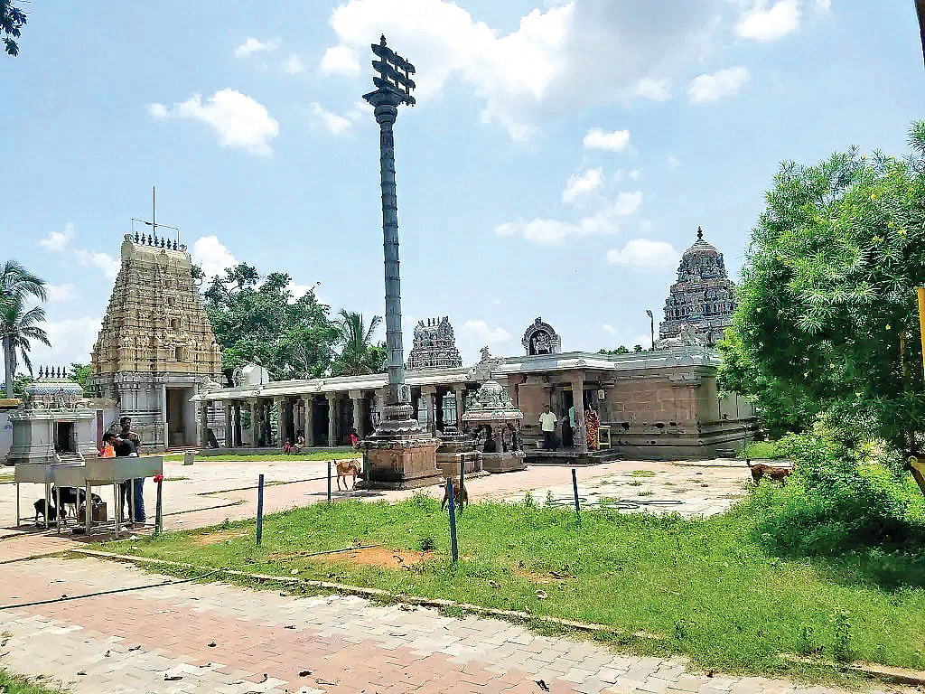 பார்வைக் குறைபாடு போக்கும் பகலவன்