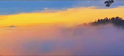 கொடைக்கானலில் மஞ்சள் மேகமூட்டம்!