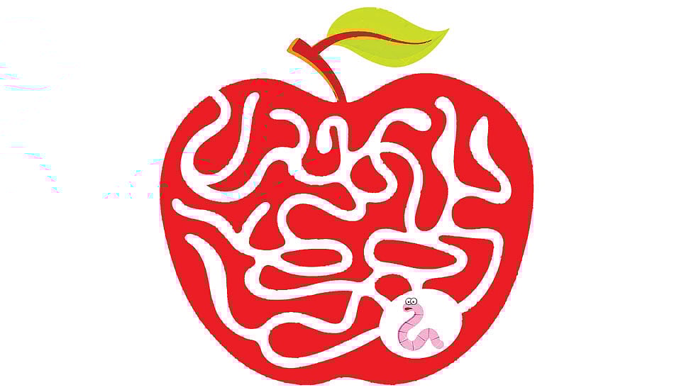 வழி  காட்டுங்கள்...