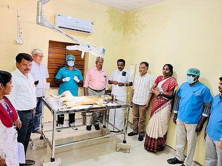 தென்காசியில் சமூக நாய்களுக்கு 
கட்டுப்பாடு அறுவை சிகிச்சை தொடக்கம்