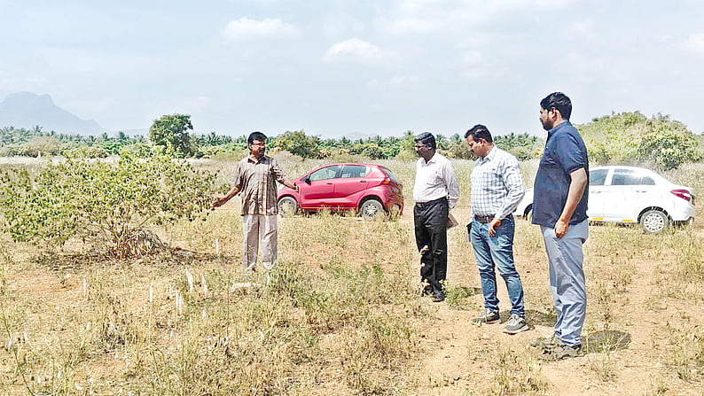பழனி அருகே புதைகுழிகள் குறித்து தொல்லியல் துறை அலுவலா்கள் ஆய்வு