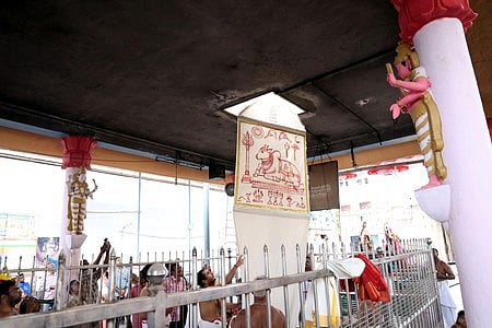 இம்மையிலும் நன்மை தருவாா் கோயிலில் மாசிப் பெருந்திருவிழா கொடியேற்றம்