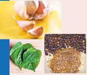 ஆயுள்காக்கும் ஆயுர்வேதம்: தொண்டைச் சளியின் எதிரி மிளகு!