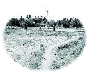 அடிப்படை வசதிகளின்றி கிராம மக்கள் அவதி!