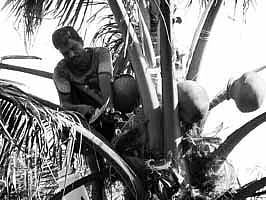 மதுவிலக்குக் கொள்கையில் ஊசலாட்டமும் பாரபட்சமும்...