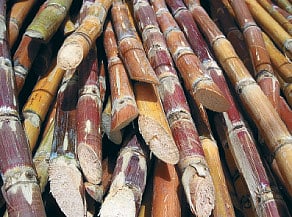 ஆயுள் காக்கும் ஆயுர்வேதம்: ரத்தக் குறைபாடு நீங்க...