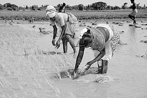 வேலைக்கு ஆளில்லை