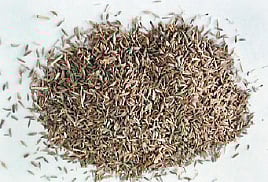 ஆயுள் காக்கும் ஆயுர்வேதம்: வெறும் வயிற்றில் சீரகம்; உணவோடு வெந்தயம்!