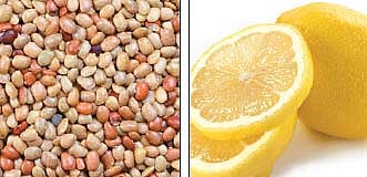 ஆயுள் காக்கும் ஆயுர்வேதம்: வயிற்றில் ஒத்தடம் கொடுங்கள்!