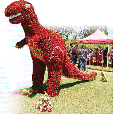 ரோஜாப் பூந்தோட்டம்