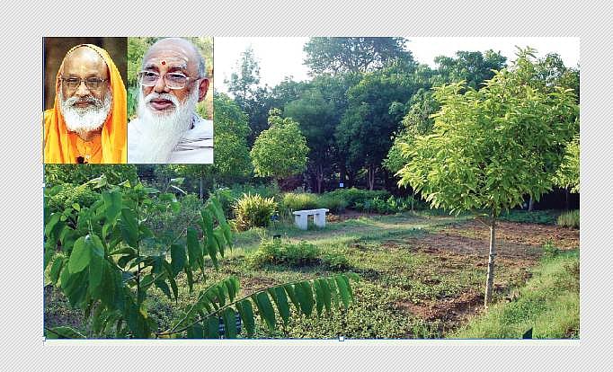 நோய் தீர்க்கும் மூலிகைகளை வீட்டிலும் வளர்க்கலாமே!